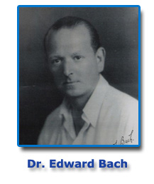 terapia con flores de bach providencia